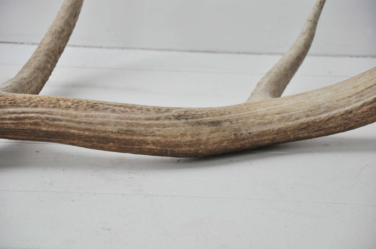 Pair of Elk Antlers at 1stdibs
