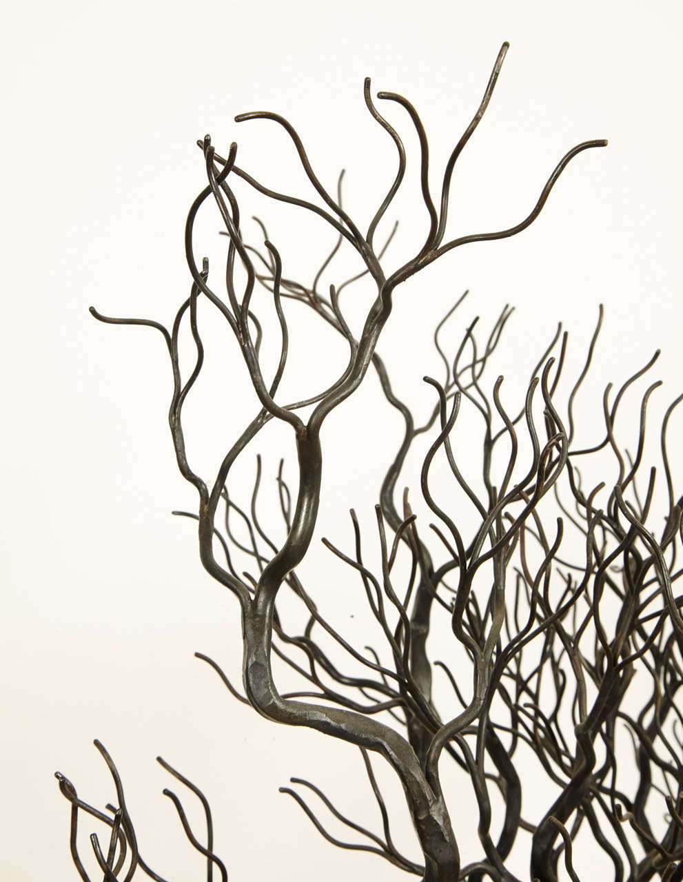 Forged Iron Olive Tree, 2012, by Manuel Simon 2
