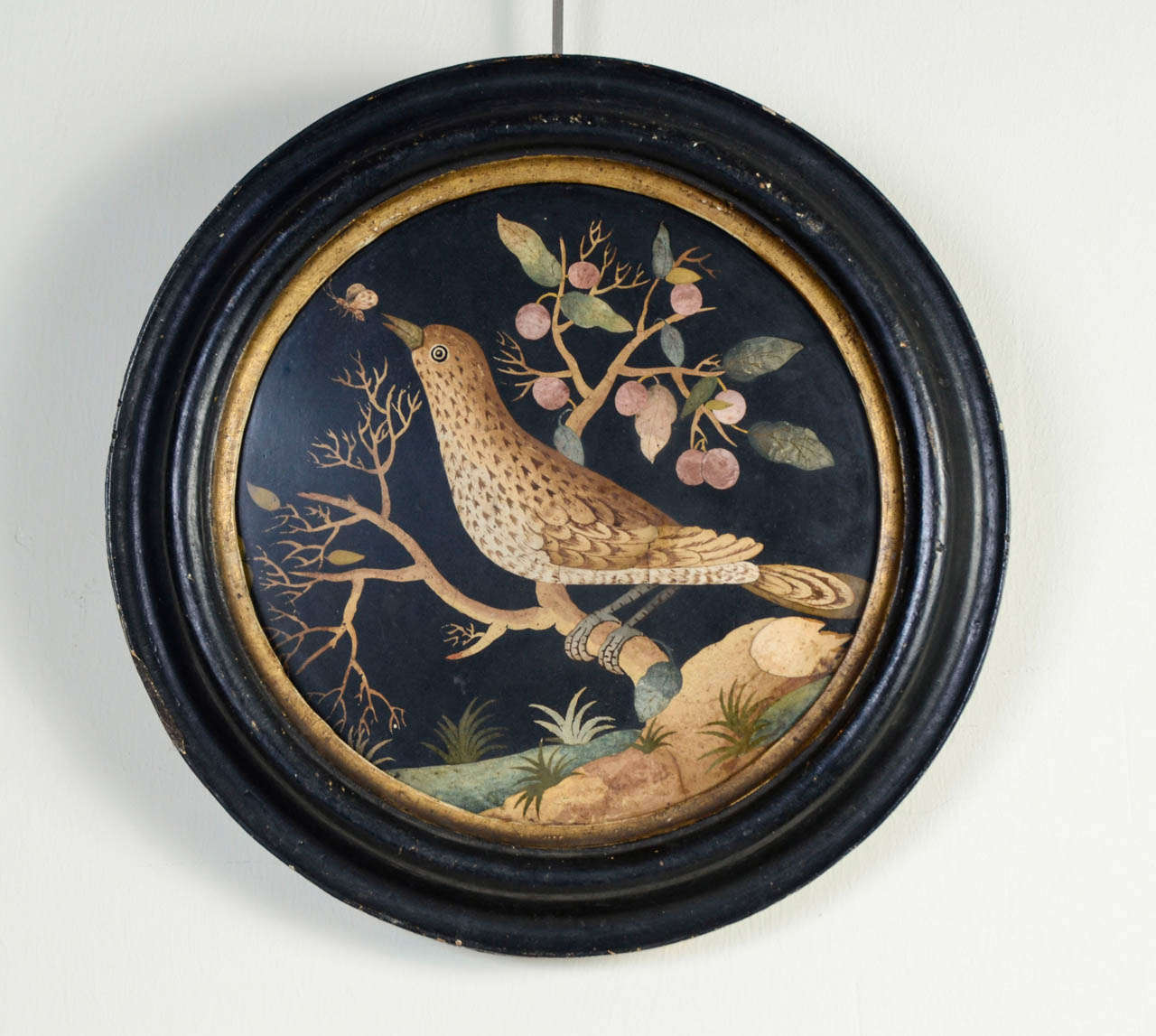 Pair of 'scagliola' Tondos on a slate background. Polychrome decor representing on a black background a perched Amazone parrot on a blue background accompanied by another bird and holding a rose in his nozzle. On the other medallion a Bicknell's