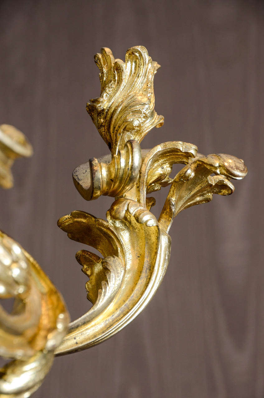 An Impressive French 19th Century Gilt-Bronze Fifteen-Light Chandelier 2