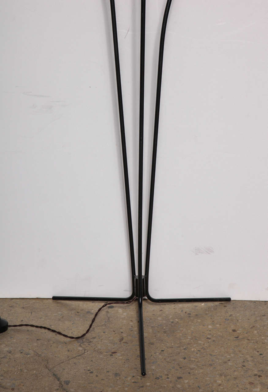 Lacquered French Modern Black Tripod Floor Lamp with 3 White Bud Shades, 1950s For Sale