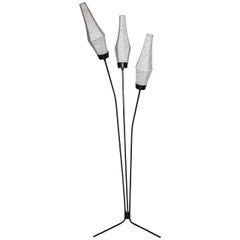French Modern Black Tripod Floor Lamp with Three White Bud Like Shades, 1950s