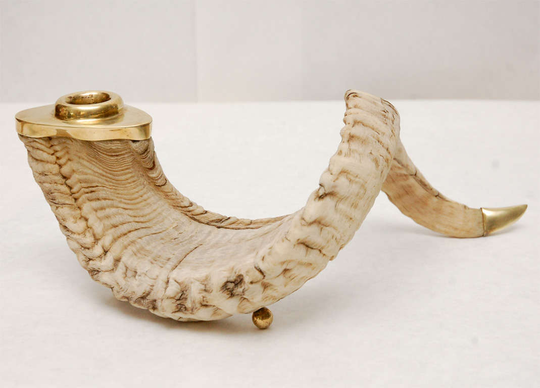 A striking pair of brass accented curly ram horns with brass tips and feet designed to hold taper candles.