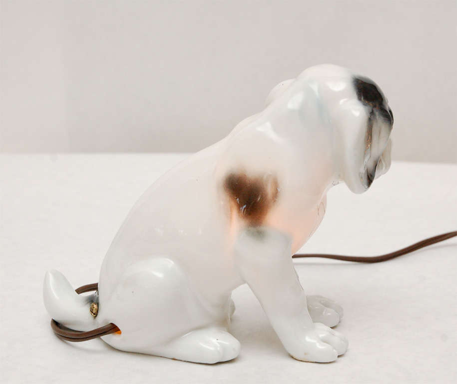 German Spotted Dog Nightlight by Capo Di Monte
