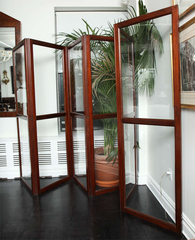 19th century English mahogany and glass six panel screen with gun barrel hinges.

Each panel: 29