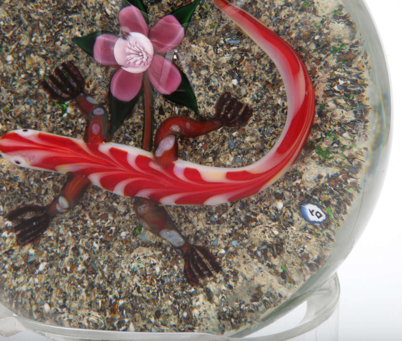 Glass Delmo Tarsitano 