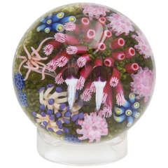 Cathy Richardson East Pacific Pink Anemone Paperweight