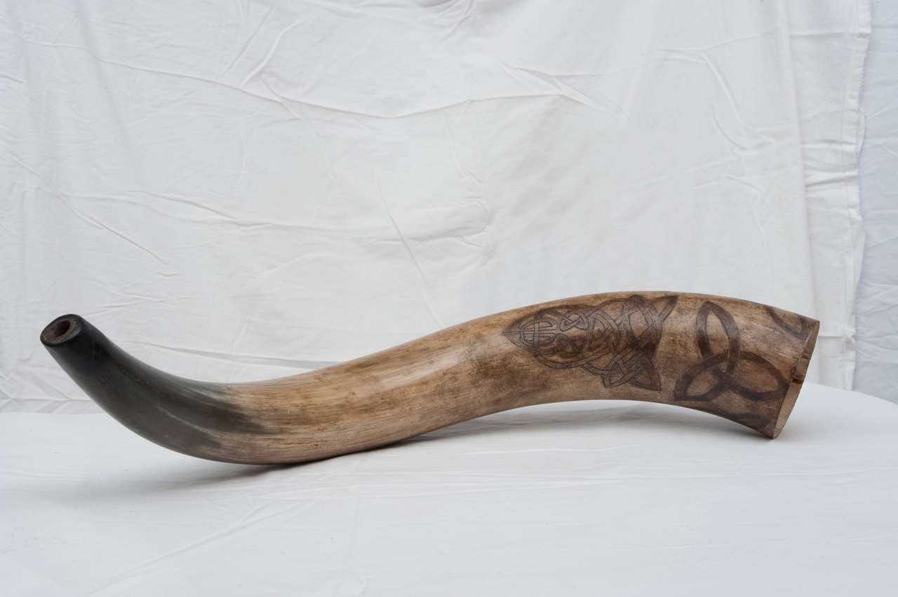 Horn with celtic carving