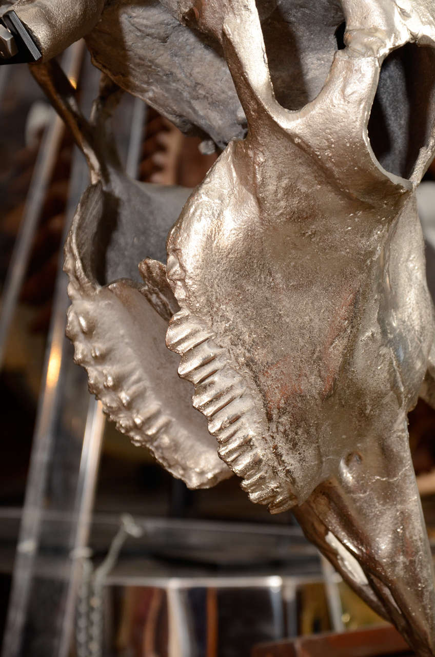 Aluminum Cast Bison Skull Sculpture