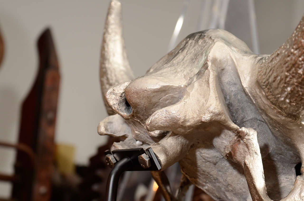 Cast Bison Skull Sculpture 1
