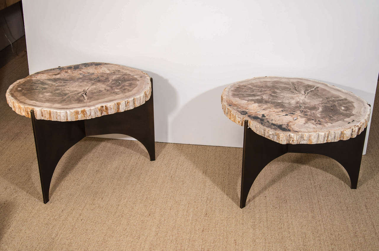 Antique bronze and petrified stone top tables.