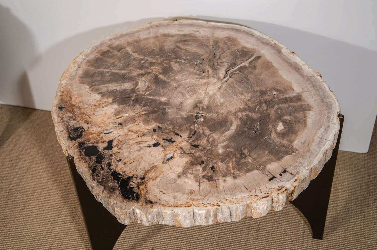Grey Petrified Wood and Antique Bronze Occasional Table, Designed by Eric Appel In Excellent Condition For Sale In New York, NY