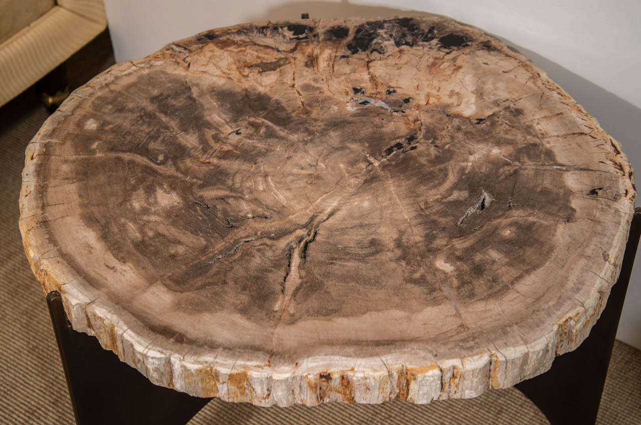 Grey Petrified Wood and Antique Bronze Occasional Table, Designed by Eric Appel For Sale 2