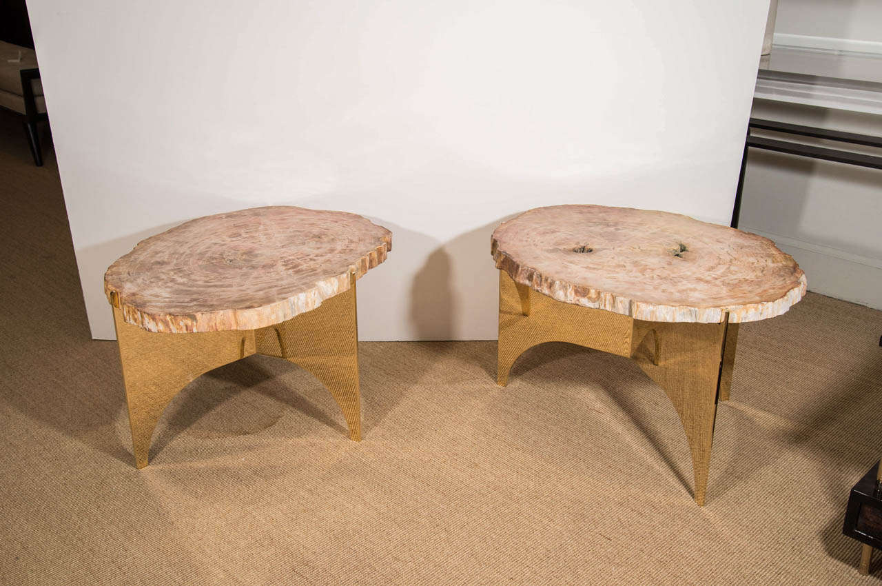 Petrified Wood and Bronze Occasional Table, Designed by Eric Appel