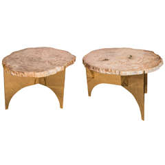 Petrified Wood and Bronze Occasional Table, Designed by Eric Appel