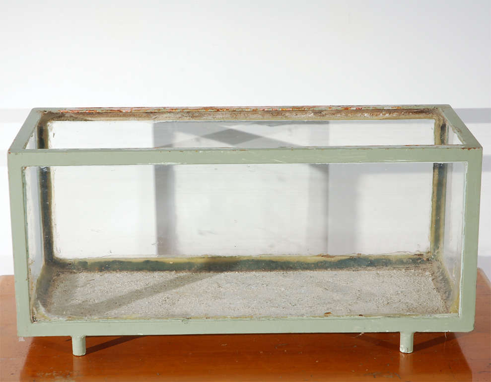 Vintage footed aquarium painted a pale green perfect to use as a terrarium or to display your small taxidermy items.