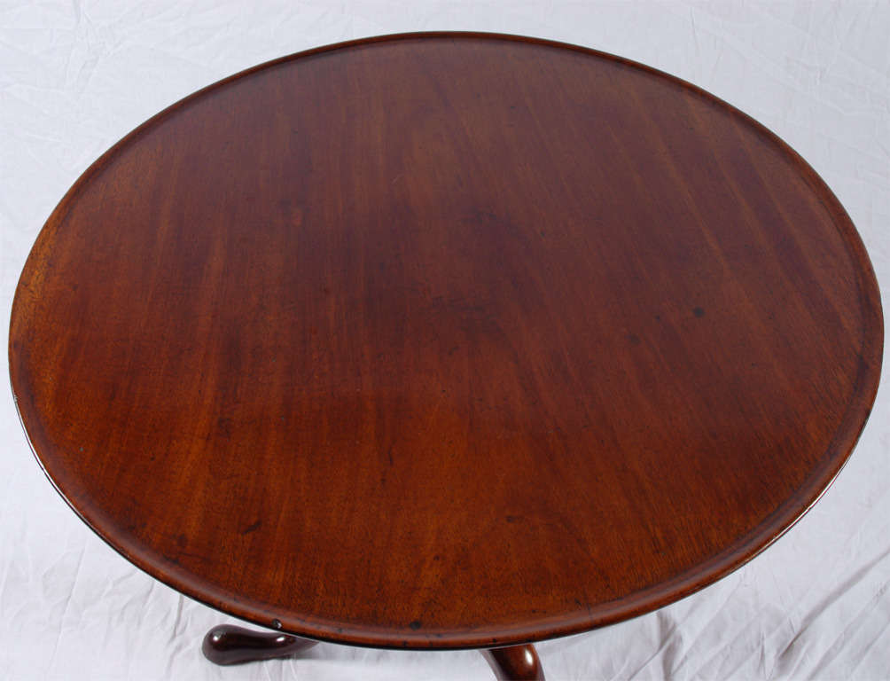 A fine American Tea Table circa 1770 Philadelphia. The round single piece top with a dish molded edge, over a bird cage support with balustrad turnings, supported on a turned base with a supressed ball turning, above three carved cabriole legs