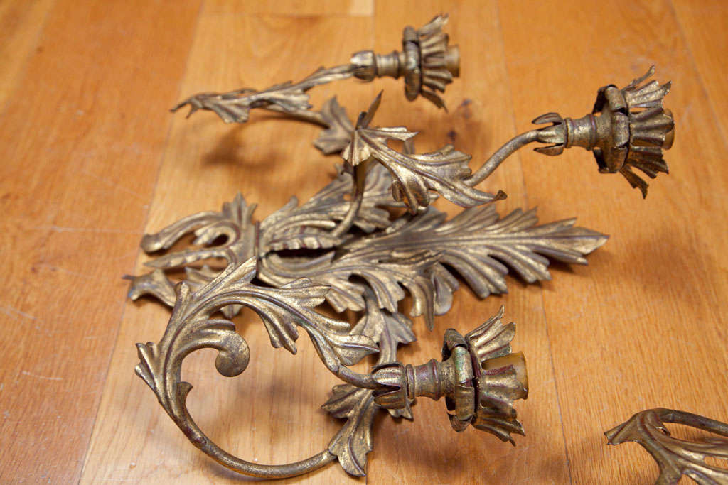 Apliques decorativos de tres luces en venta 2