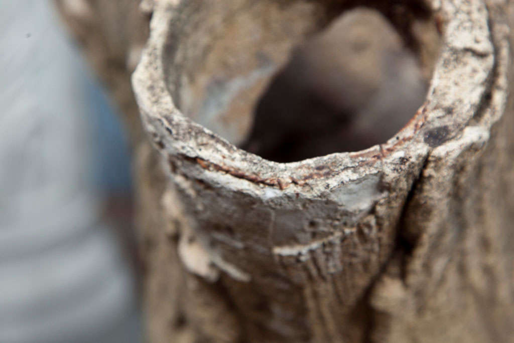 Authentic Pair of Faux Bois Tree Trunk Planters 5