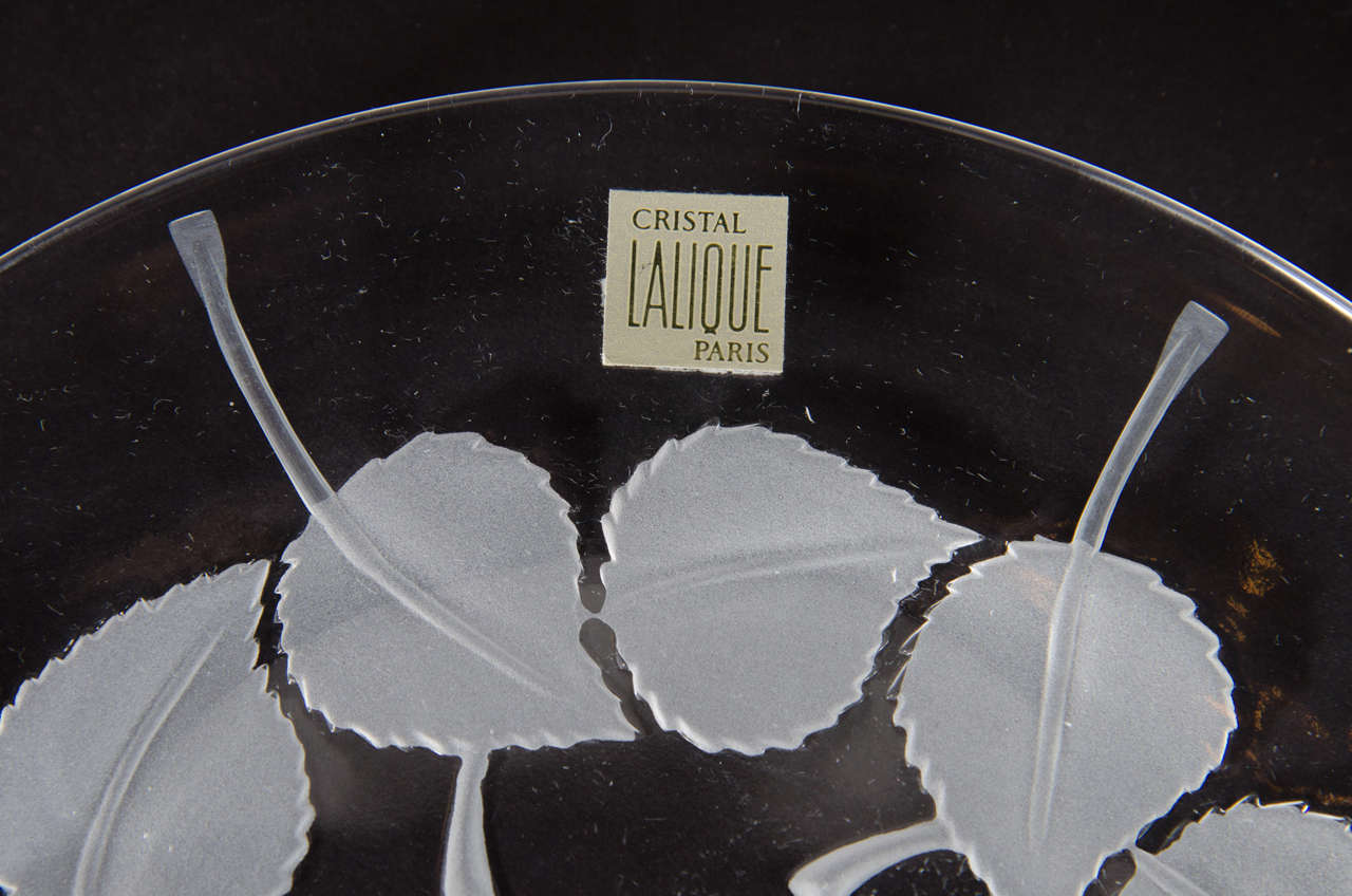 Set of Ten Lalique Glass Plates in Circular Art Deco Leaf Pattern Design 3