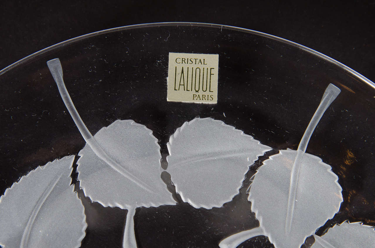 Set of Ten Lalique Glass Plates in Circular Art Deco Leaf Pattern
