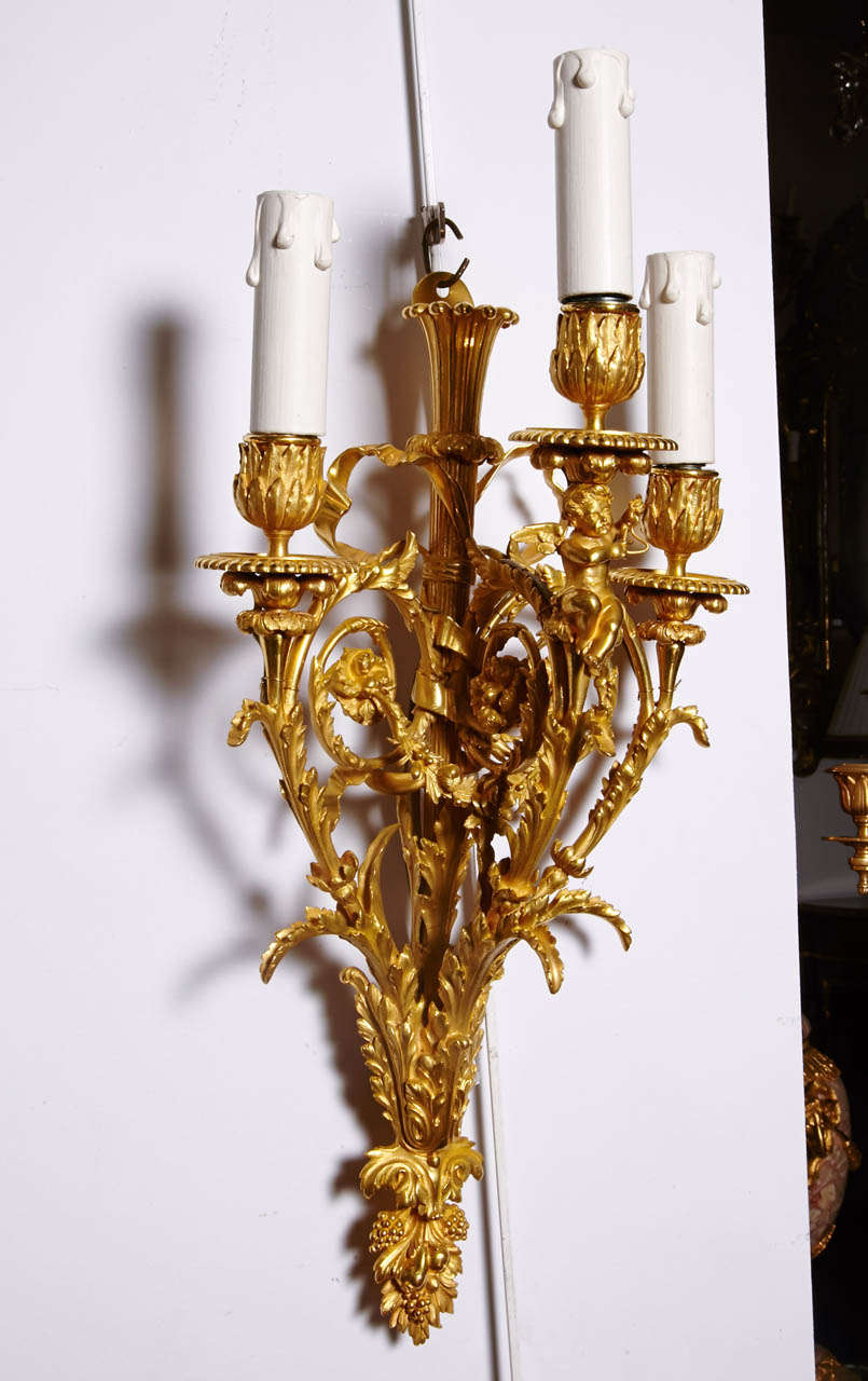 pair of gilded sconces 3 arms of lights
by Dasson