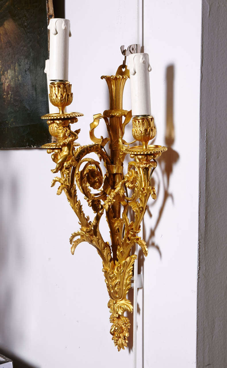 French Gorgeous pair of gilded bronze sconces, . For Sale