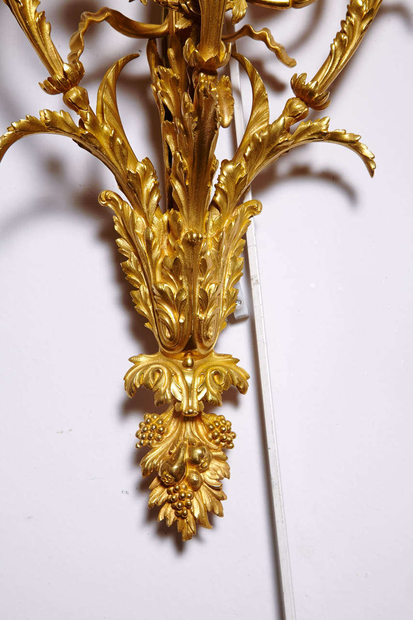 19th Century Gorgeous pair of gilded bronze sconces, . For Sale