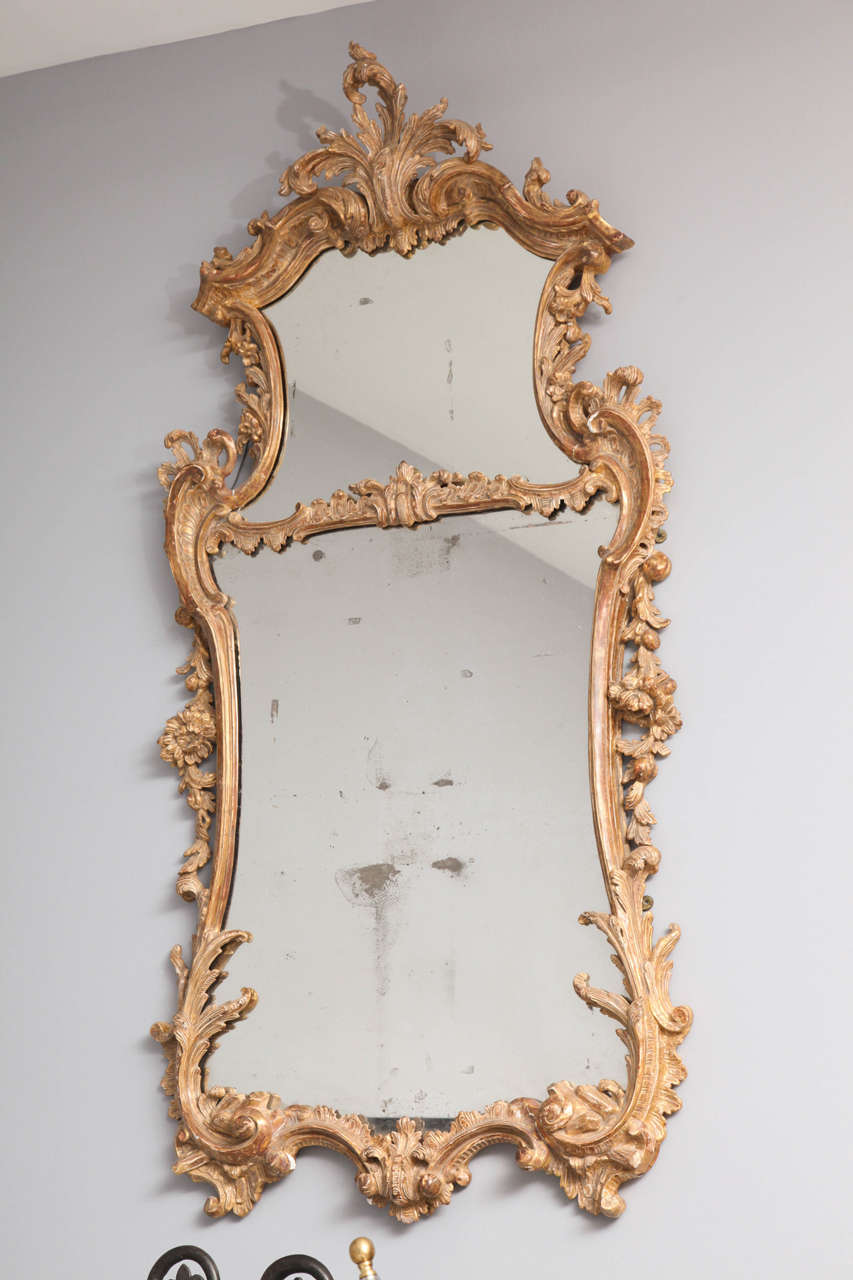 A very Fine George II giltwood Rococo mirror, the three leaf acanthus carved finial over scroll carved crest with foliate details framing shaped plate, over scrolled and vine carved body, the whole in lovely burnished gold, the plates old but not