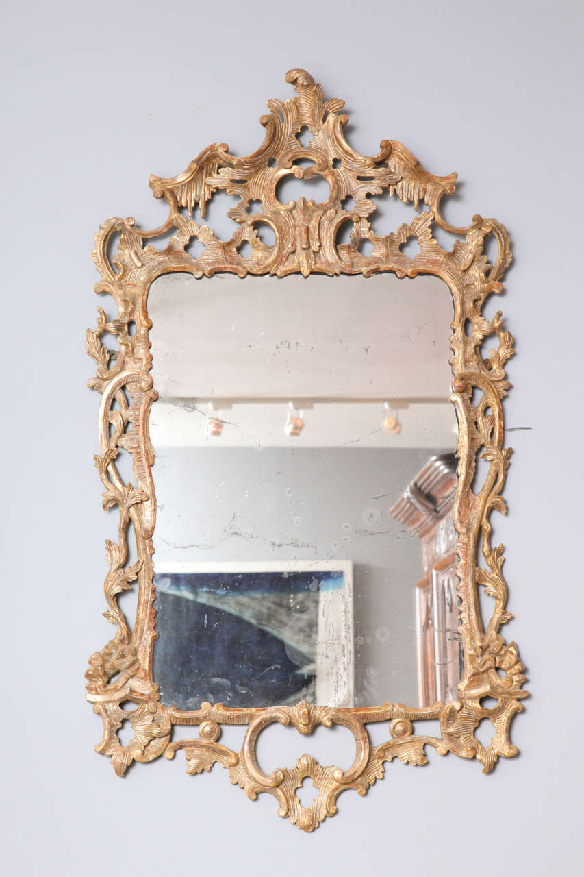 Ein geschnitzter Rokoko-Spiegel aus vergoldetem Holz mit ausgezeichneten Proportionen, der Kamm eines stilisierten Akanthus mit Rocaille geschnitzt, mit C-Rollen und S-Rollen, die die Seiten und den Boden schmücken, das Ganze mit schönen geriebenen