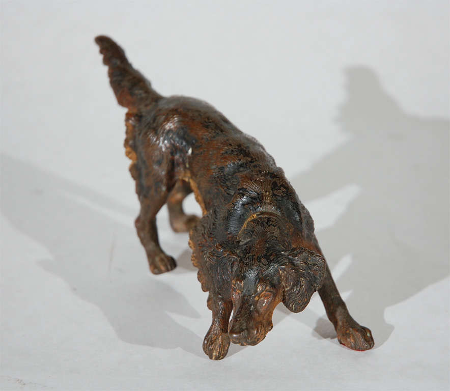 Group of four whimsical hand painted Austrian Bronze dog miniatures.  Priced as a set or sold individually.  Smallest bronze measures 2 1/2