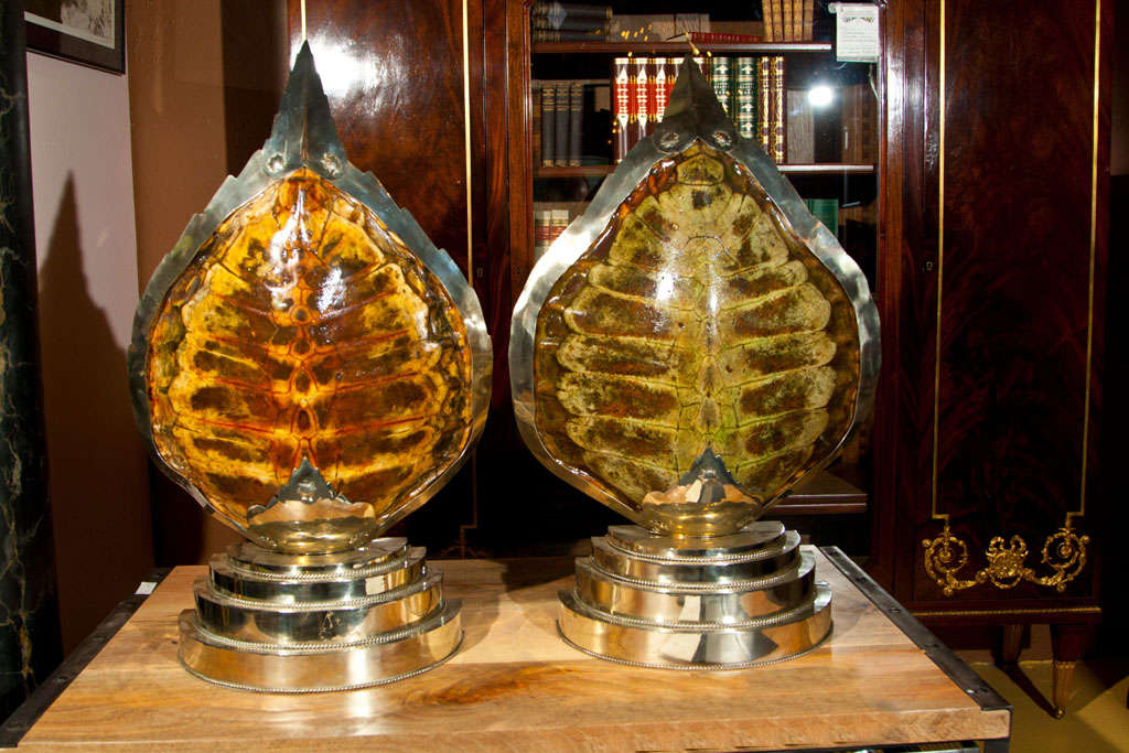 Pair of Tortoise Shell Table Lamps