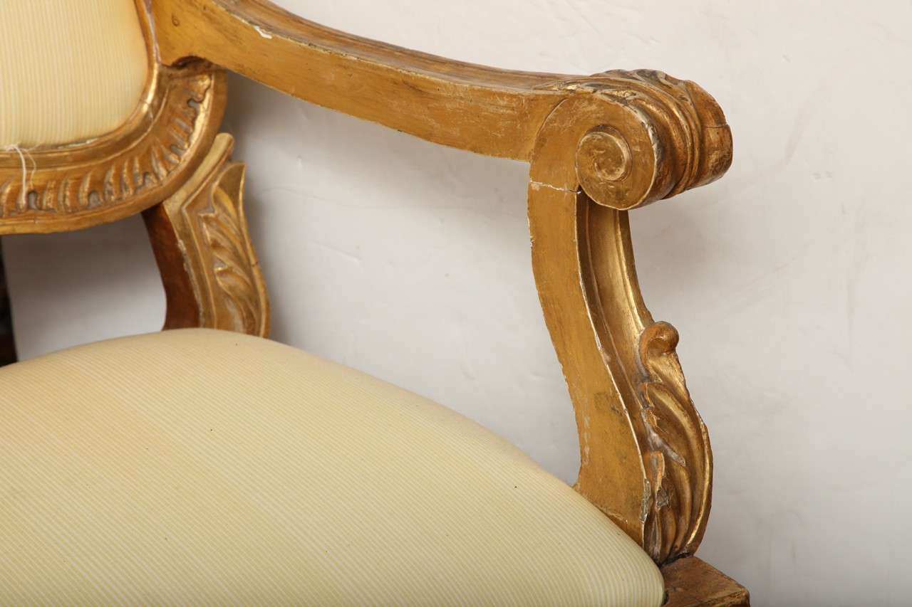 Pair of 19 century  Italian gilt wood armchairs  In Good Condition In New York, NY