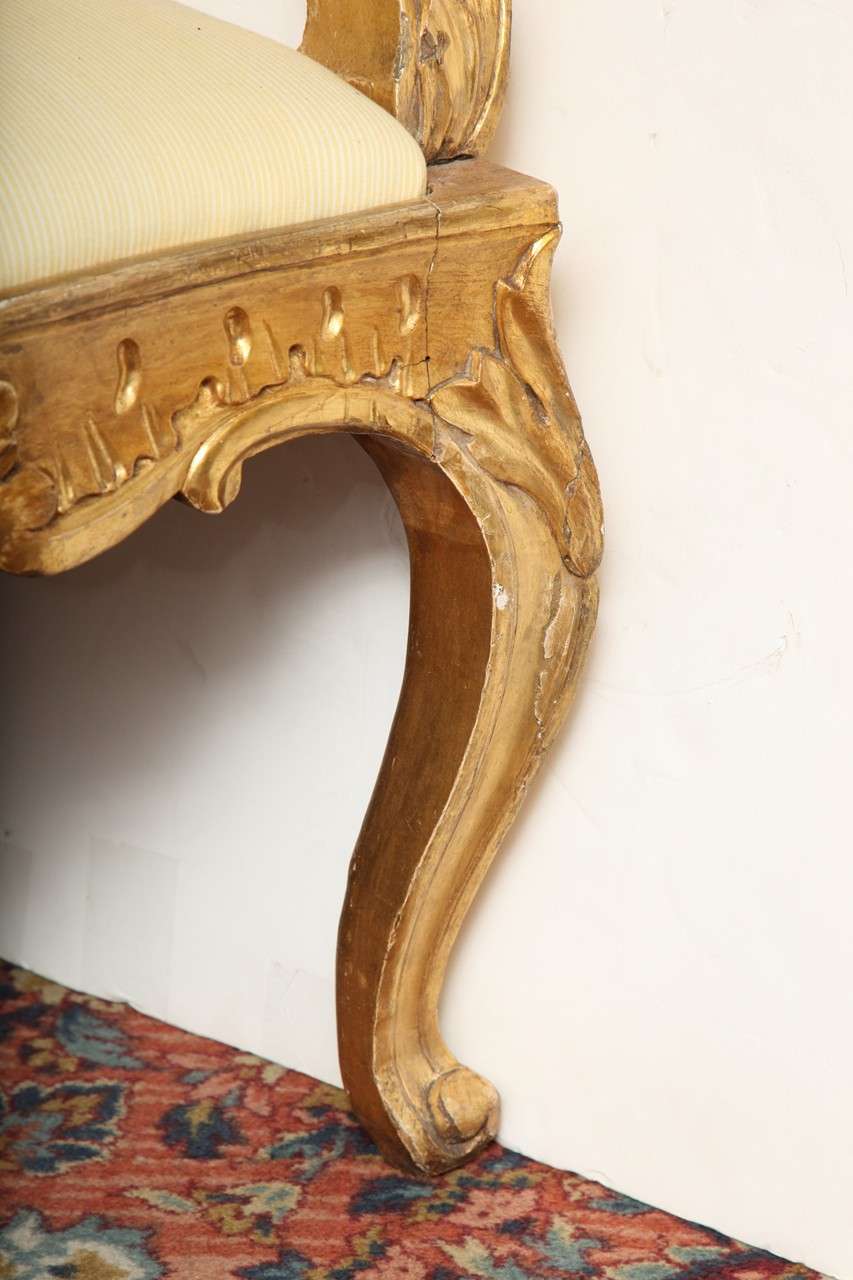 19th Century Pair of 19 century  Italian gilt wood armchairs 