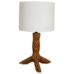 Table Lamp from a Cactus Trunk