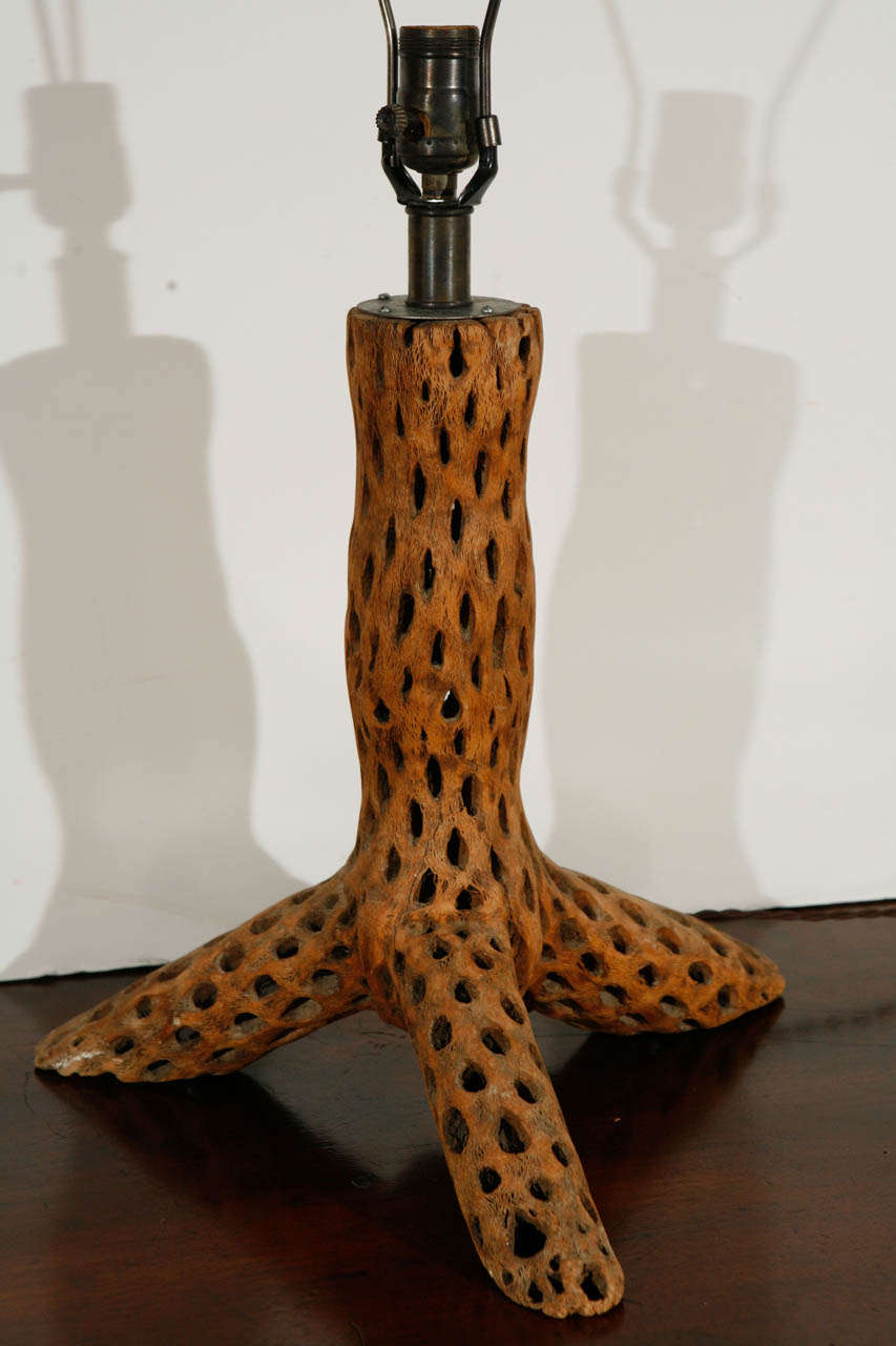 American Table Lamp from a Cactus Trunk