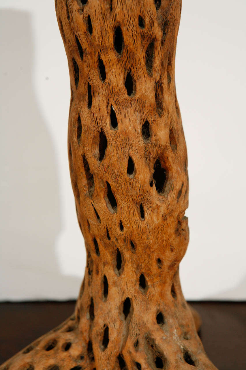 Table Lamp from a Cactus Trunk 3