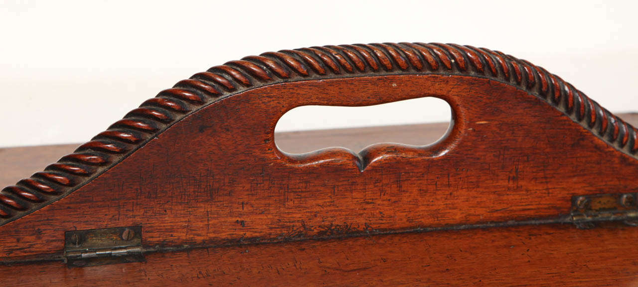 19th Century Mahogany Cutlery Box In Excellent Condition In New York, NY
