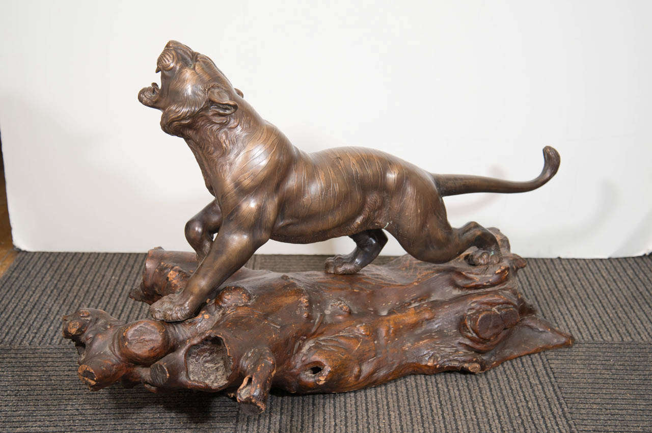 A bronze sculpture of a roaring tiger on a carved wooden base signed in Japanese and from the 1860s.

Good condition with age appropriate wear.  Some scuffs to the wooden base.

Tiger with base is 33