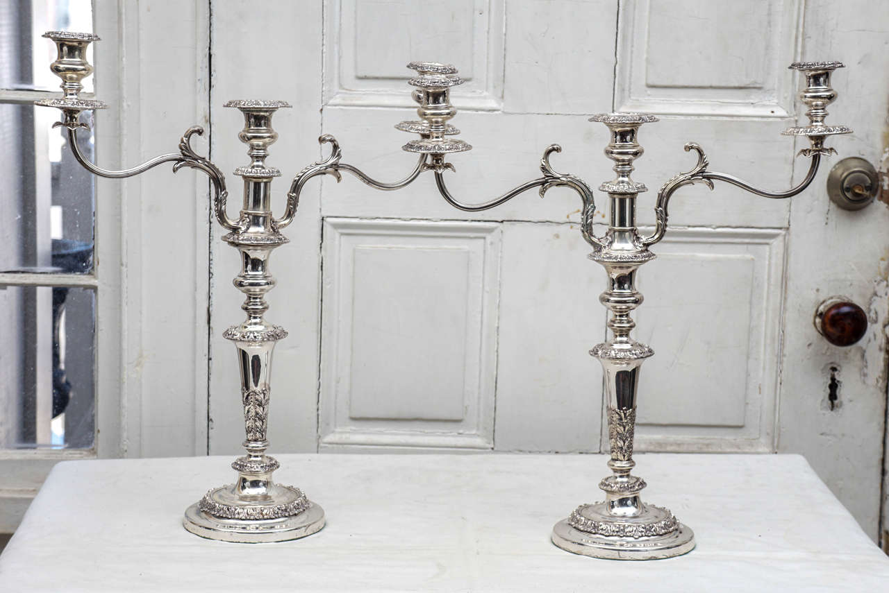 This nice pair of silver plated candelabrum made in England circa 1840-1850 are of great scale and form. While open and light the decorative elements are heavy and post neoclassical being primarily of acanthus leaves in a repetitive pattern. This