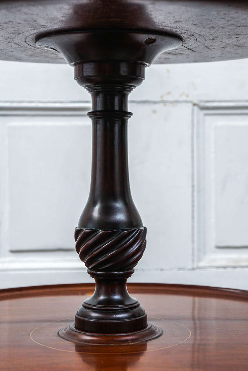 Boxwood Fine 19th Century Georgian-Style Mahogany Dumbwaiter