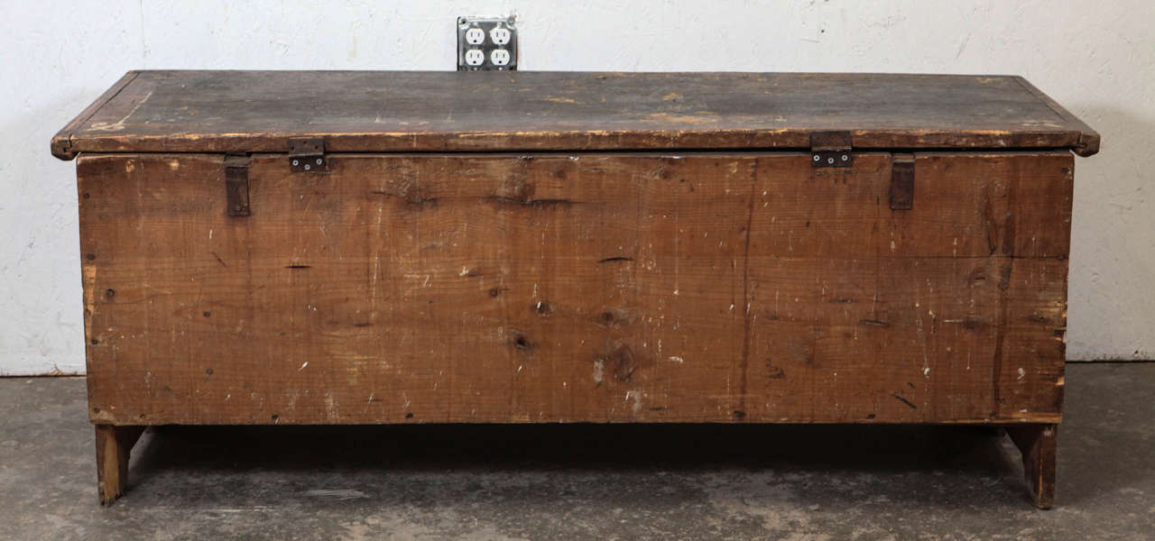 Rustic Vintage Hand Painted Trunk with Flower Details 4
