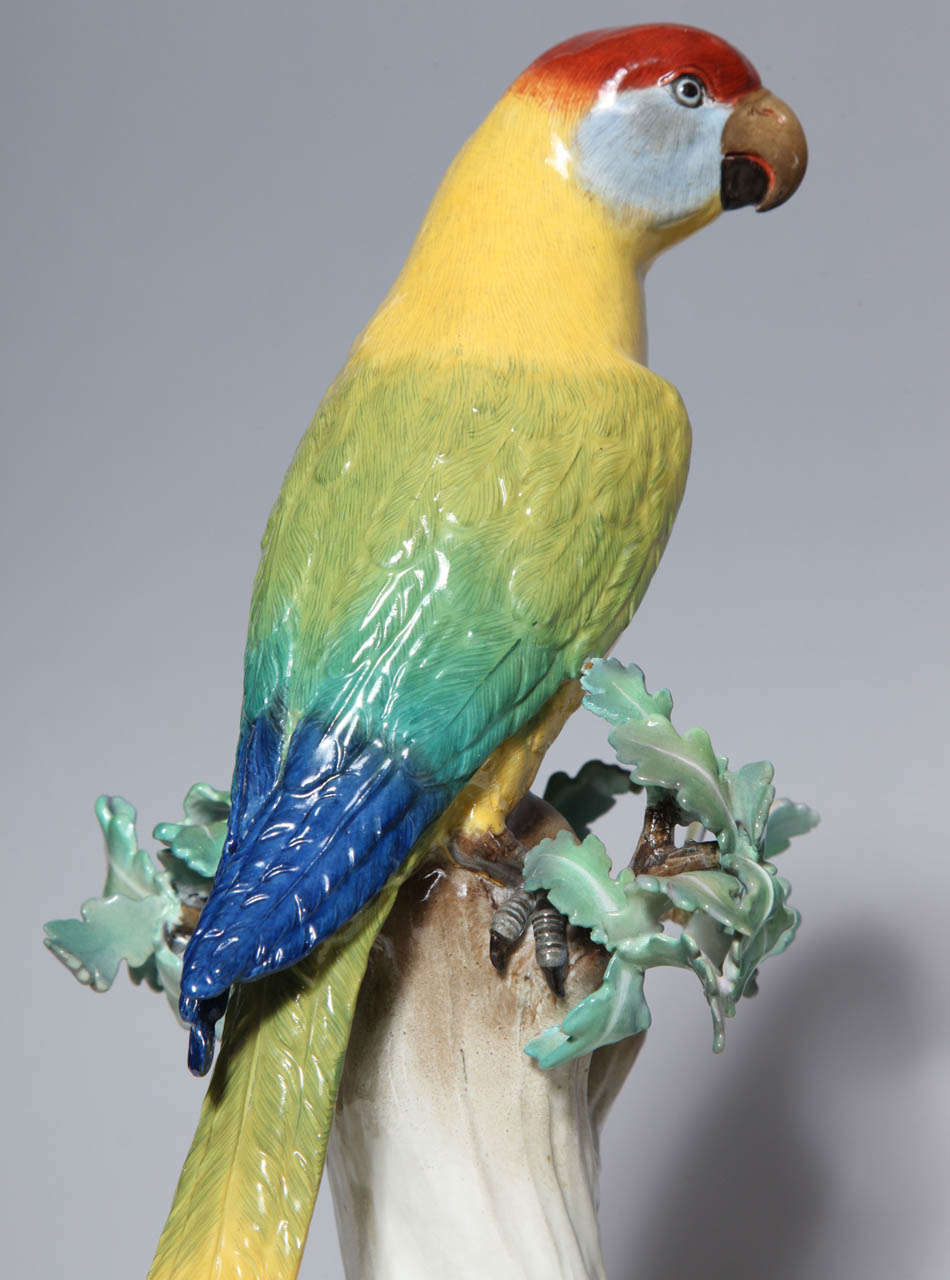 Rococo Pair of Meissen Porcelain Figures of Parrots