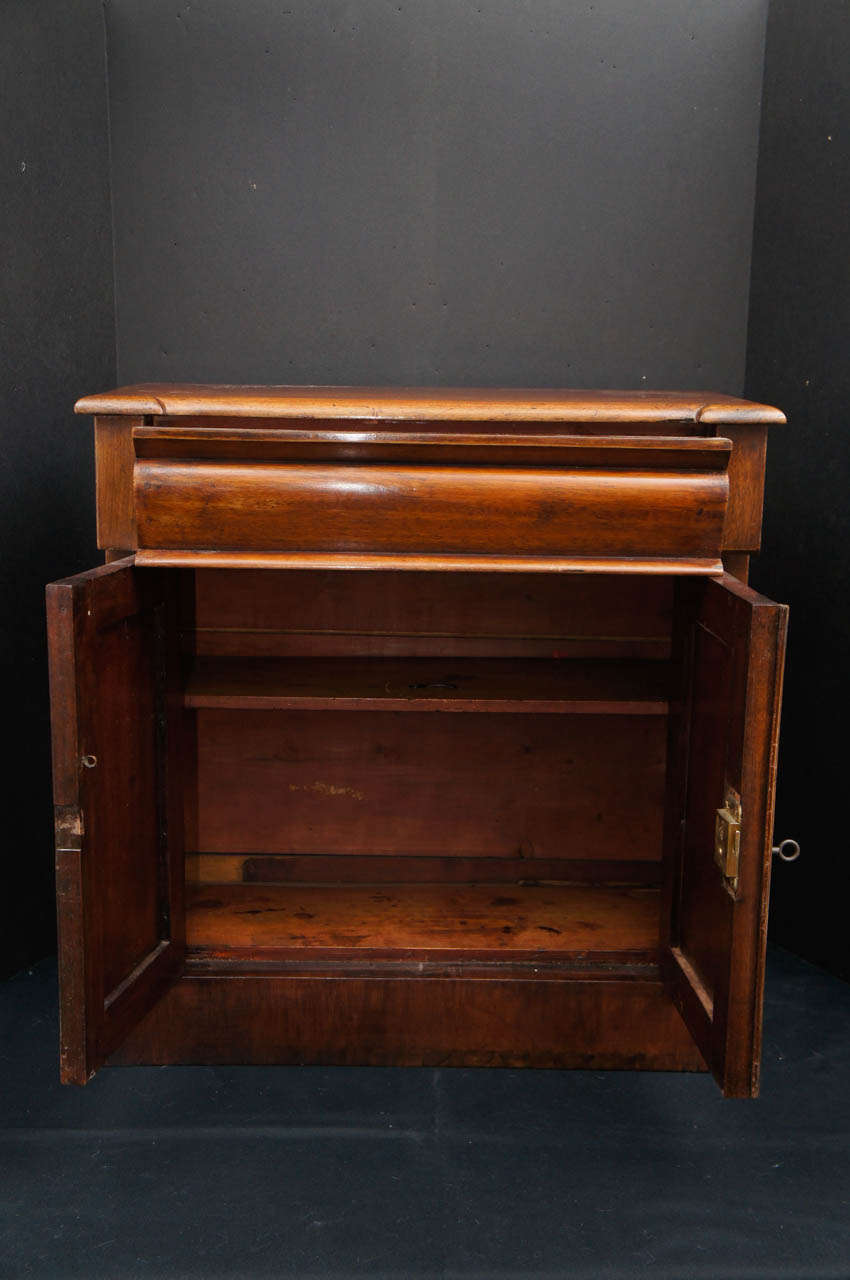 English 19th Century Victorian Miniature Mahogany Cabinet or Salesman's Sample In Good Condition In Hudson, NY