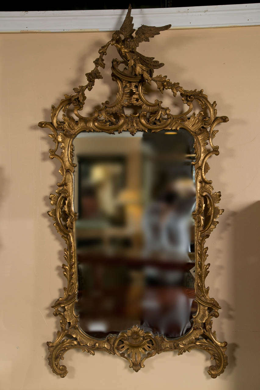 A wonderfully carved rococo wall / pier mirror. The central mirrored panel flanked by a gilt frame of carved wood leaf and vine design leading to a finely carved eagle perched a top the mirror with leaves in mouth looking to build a nest to live.