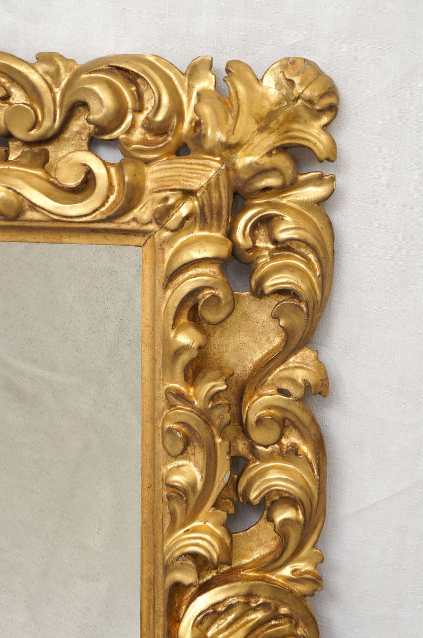 Florentine Carved Gilt Wood Mirror Frame In Good Condition In Hudson, NY