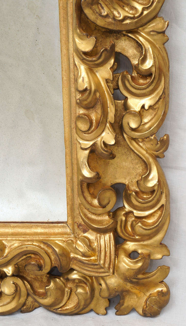 19th Century Florentine Carved Gilt Wood Mirror Frame