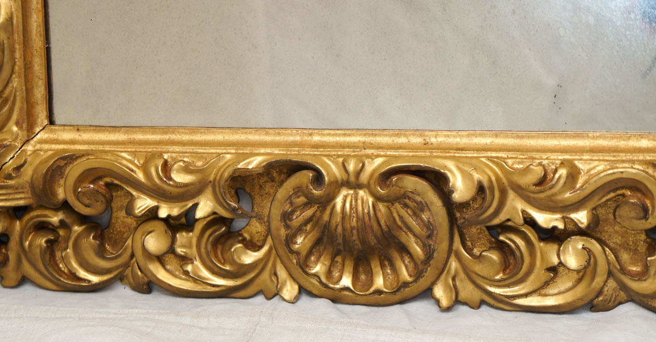 Florentine Carved Gilt Wood Mirror Frame 1