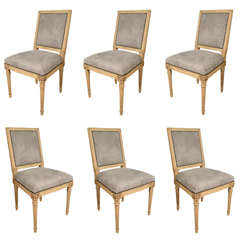 Antony Todd collection grey suede Louis XVI chairs 