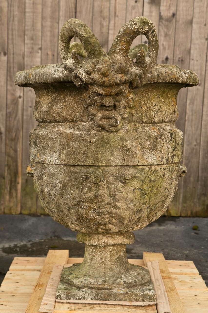 Set of Four Cement Urns with Ram Heads 4